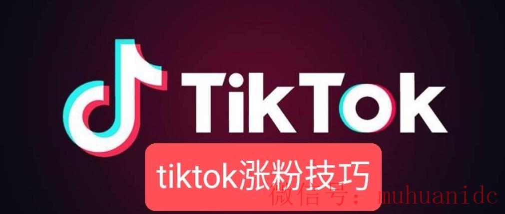 tiktok账号购买平台