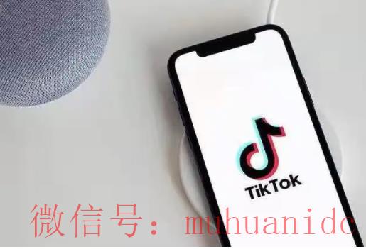 tiktok账号购买平台