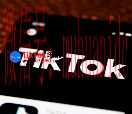 tiktok账号购买平台