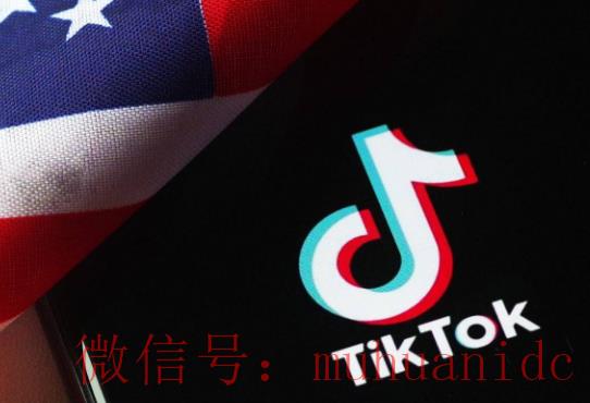tiktok账号购买平台