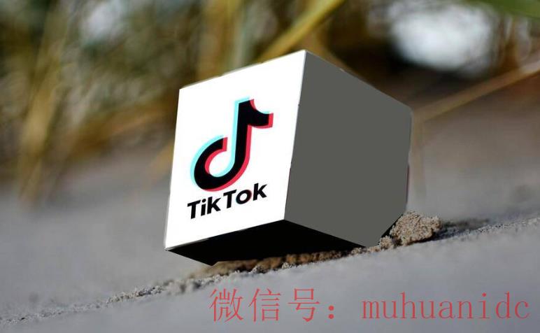 tiktok账号购买平台