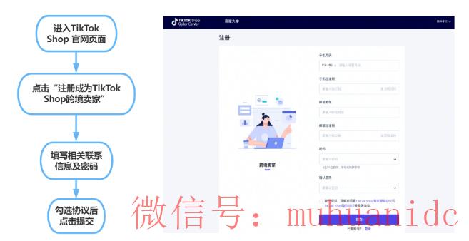 tiktok账号购买平台