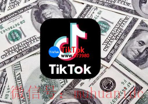 tiktok账号购买平台