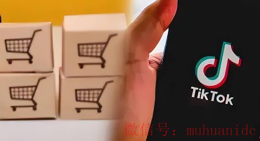 tiktok账号购买平台