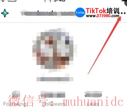 TikTok提现示意图