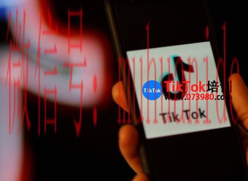 tiktok账号购买平台