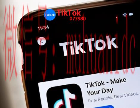 tiktok账号购买平台