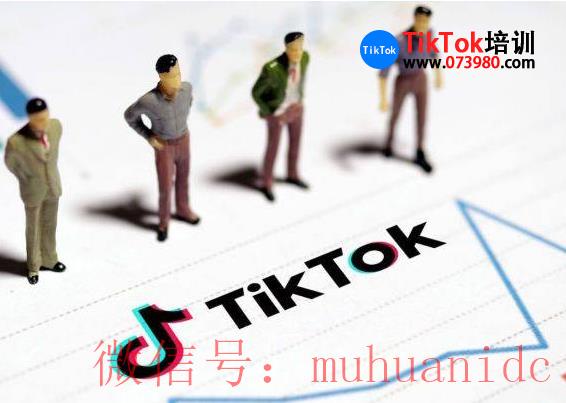 tiktok账号购买平台
