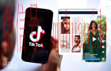 tiktok账号购买平台