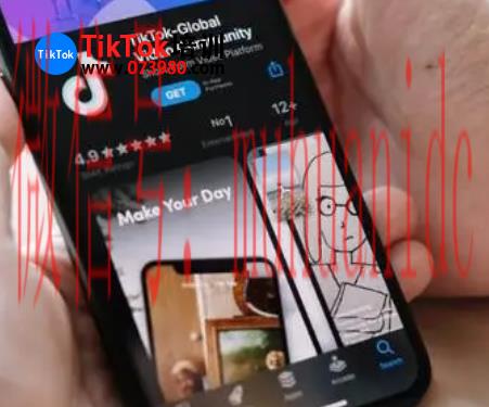 tiktok账号购买平台