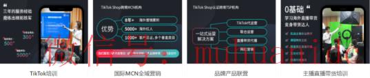 tiktok账号购买平台