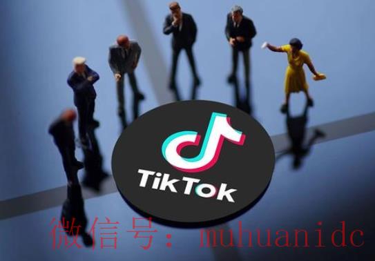 TikTok账号购买平台