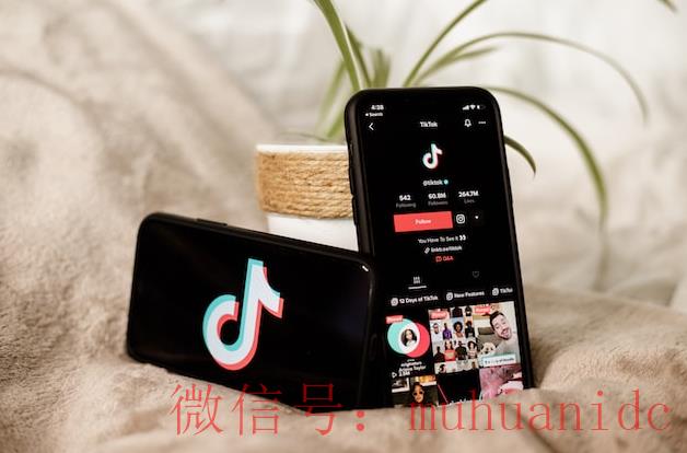 tiktok账号购买平台