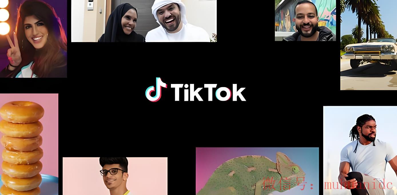 tiktok账号购买平台