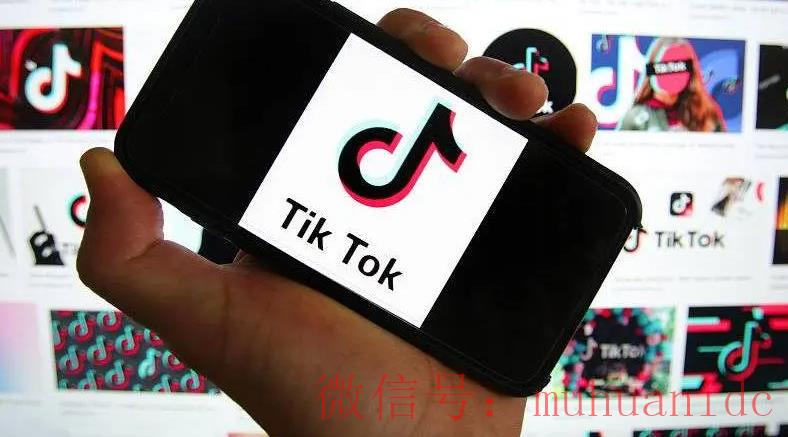 tiktok账号购买平台