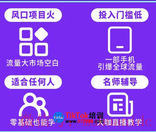 tiktok账号购买平台