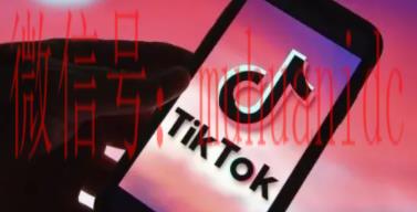 tiktok账号购买平台