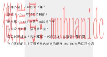 tiktok账号购买平台