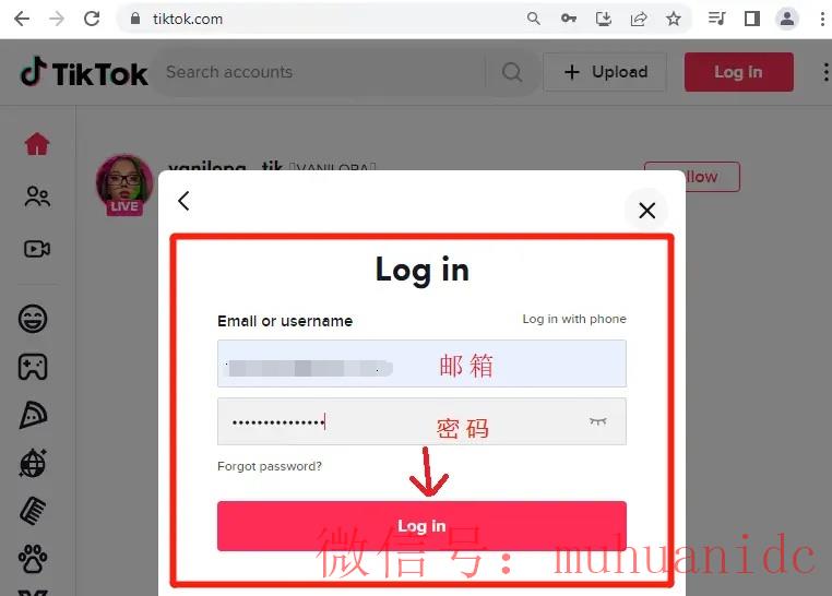 tiktok账号购买平台