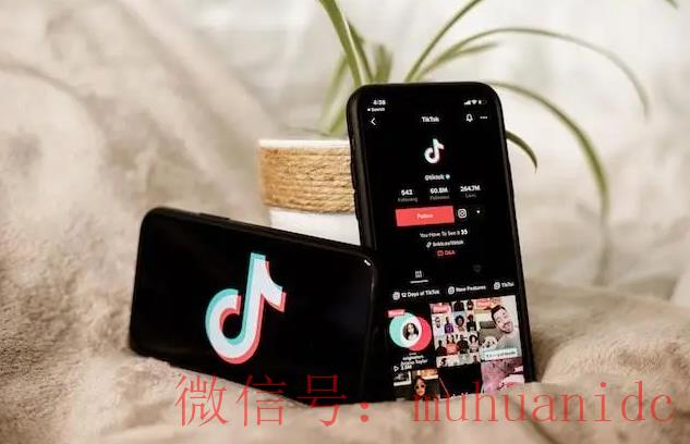 tiktok账号购买平台