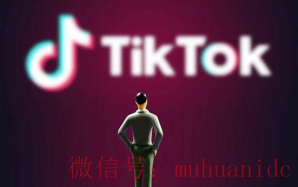 tiktok账号购买平台