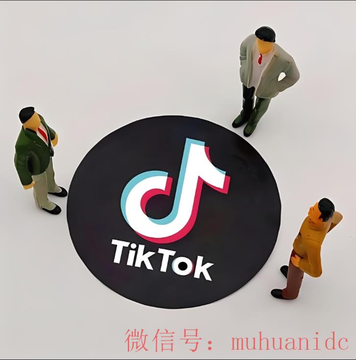 tiktok账号购买平台