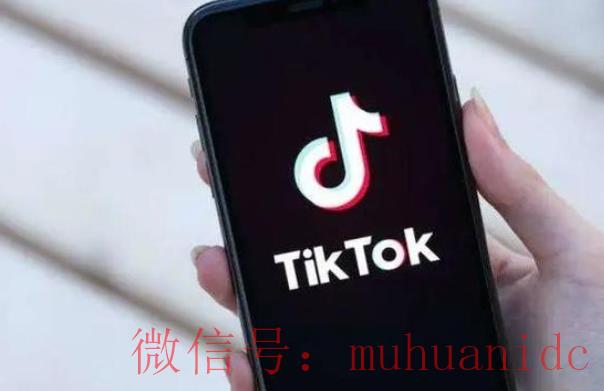 tiktok账号购买平台