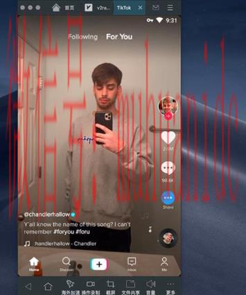 tiktok账号购买平台