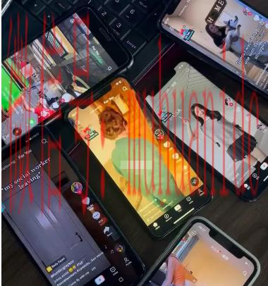 tiktok账号购买平台