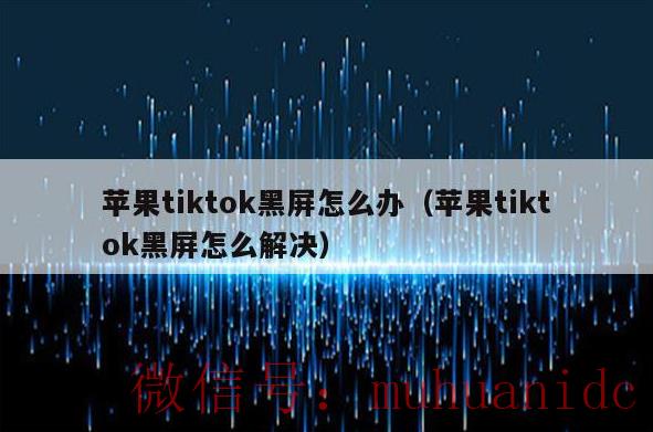 tiktok账号购买平台