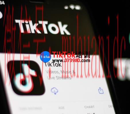 tiktok账号购买平台