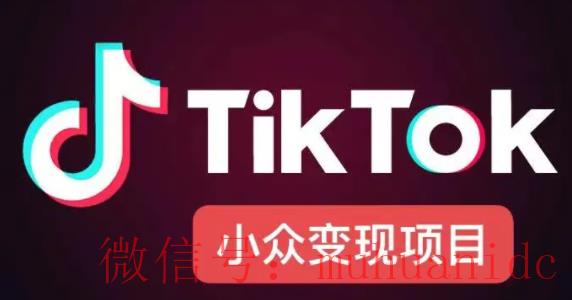 tiktok账号购买平台