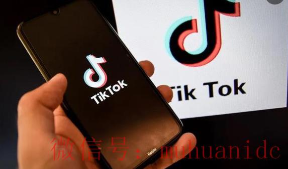 tiktok账号购买平台