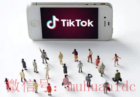 tiktok账号购买平台