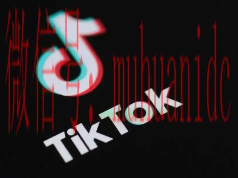 tiktok账号购买平台