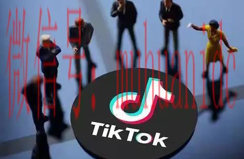 tiktok账号购买平台