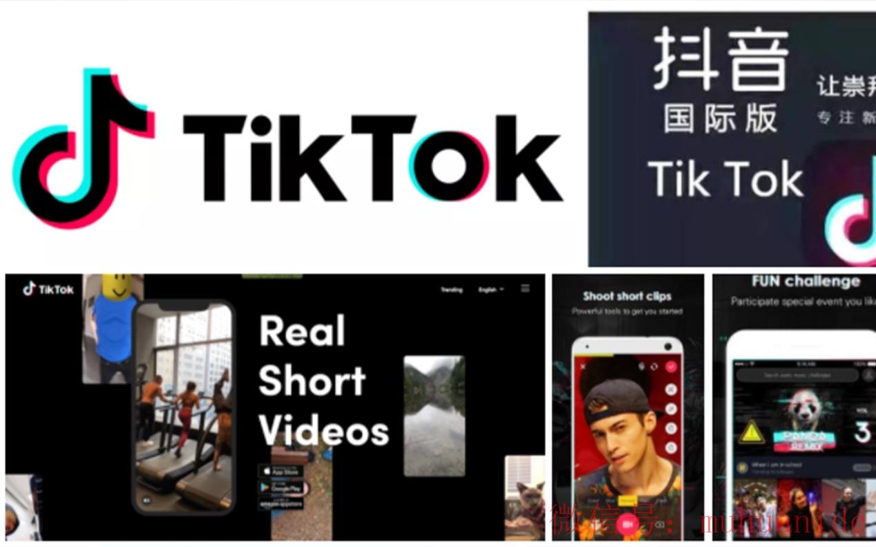 tiktok账号购买平台