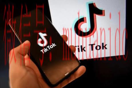 tiktok账号购买平台