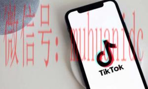 tiktok账号购买平台
