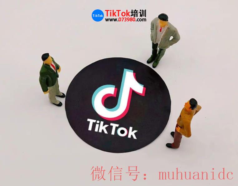 tiktok账号购买平台