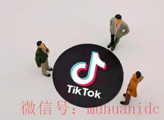tiktok账号购买平台