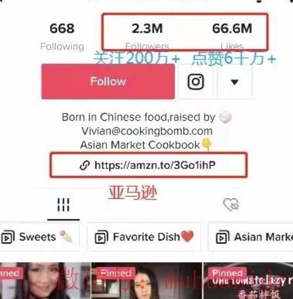 tiktok账号购买平台