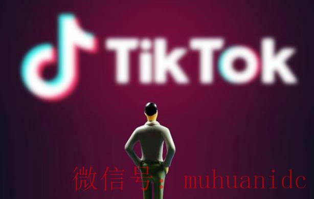 tiktok账号购买平台