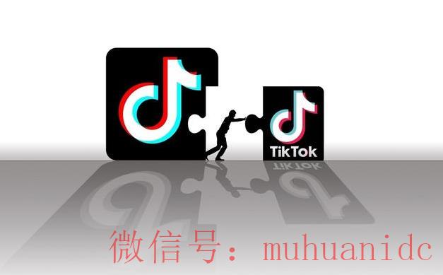 tiktok账号购买平台