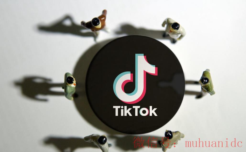 tiktok账号购买平台