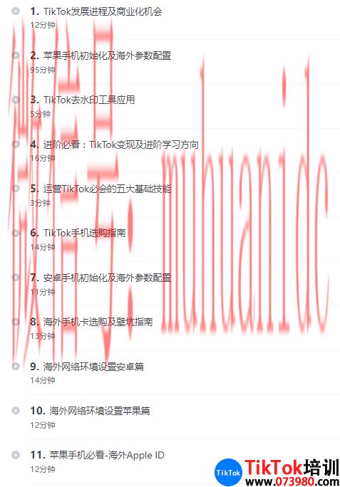 TikTok账号购买平台