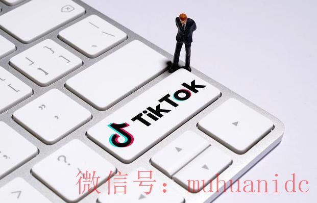 tiktok账号购买平台