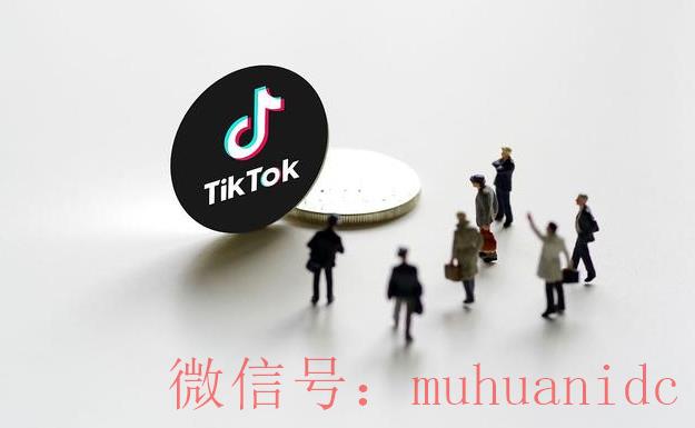 tiktok账号购买平台