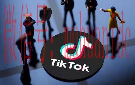 tiktok账号购买平台