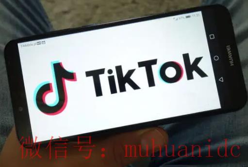 tiktok账号购买平台